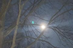 WhatsApp-Image-2026-03-08-at-11.30.49